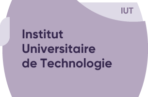 Institut
Universitaire de Technologie - IUT